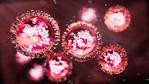 US rocked by deaths as outbreak spreads