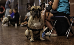 People take shelter in Kyiv’s subway during Monday’s Russian strikes on Ukraine. Photograph: Global Images Ukraine/Getty