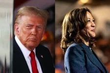 Trump vs Harris: What the Latest Polls Say Ahead of Voting