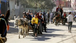 Palestinians travel with carts pulled by horses and donkeys as Israel continues to the entry of fuel amid the continuation of the Israeli army's attack on Deir Al Balah, Gaza on November 20, 2024. ©  Ashraf Amra/Getty Image