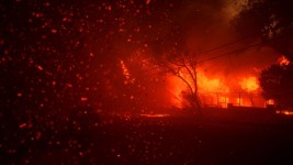 Flames from the Palisades Fire burn homes on January 7.  Eric Thayer/Getty Images