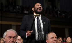 Al Green shouts out as Donald Trump addresses a joint session of Congress. Photograph: Win McNamee/Reuters