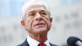 Peter Navarro: ‘We think we have a strong case. Yes, we will immediately appeal and try to stay the ruling’ © Getty Images