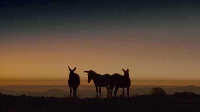 Oscars : deux films québécois nommés, un nombre record de mentions pour Sinners