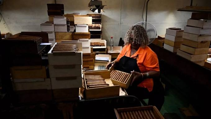 Même le secteur symbolique des cigares est pénalisé par la crise, avec l'annulation du Festival Habanos. (Photo YAMIL LAGE/AFP)
