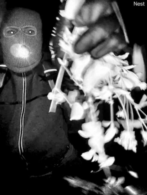 Nancy Guthrie live updates: 'Potential subject' seen at front door