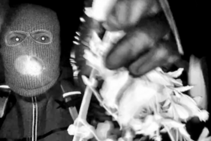 Nancy Guthrie investigation: What we know about the search