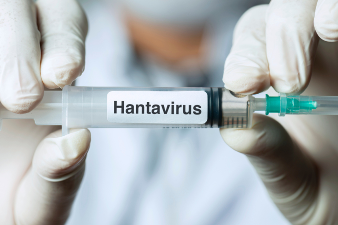 Hantavirus