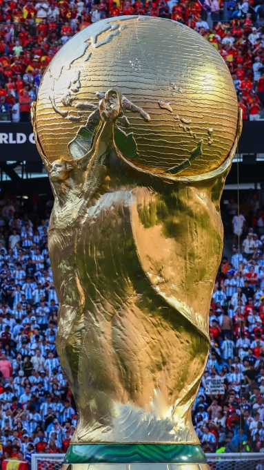 En images : revivez la finale du Mondial