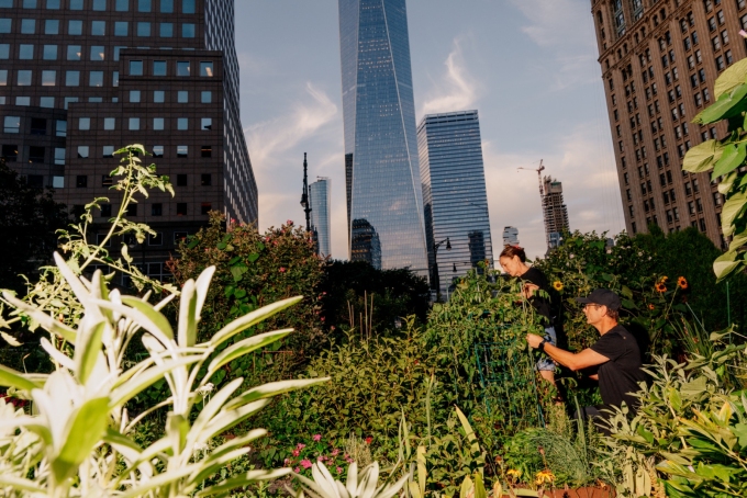 The Liberty Community Gardens in lower Manhattan with One World Trade Center in the background.