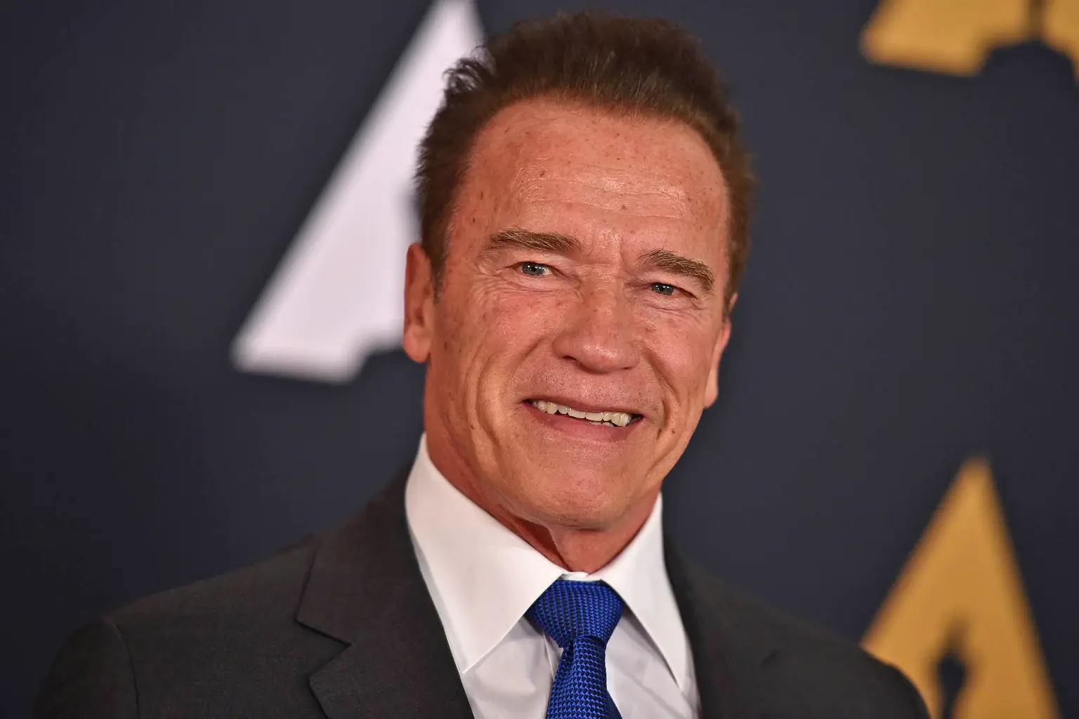 Arnold Schwarzenegger / AP