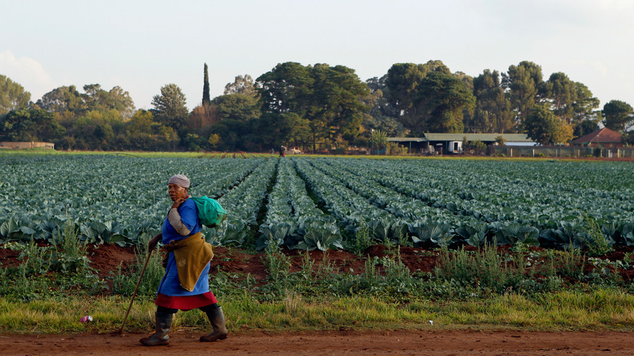 A worker leaves after working at a farm in Eikenhof, South Africa © Siphiwe Sibeko / Reuters