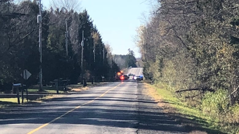 Police close off William Mooney Road And McGee Side Road in Carp, Ont., after plane crash involving two aircraft. (Krystalle Ramlakhan/CBC)