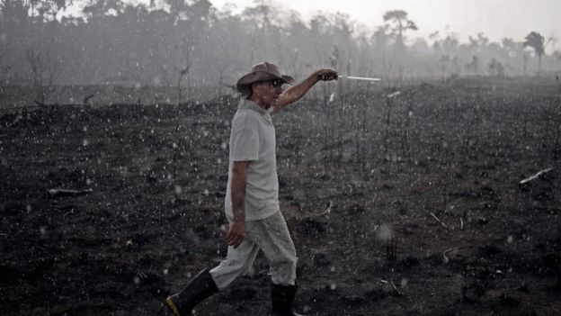 AFP / A Brazilian farmer walks through a burnt area of the Amazon in Rondonia state