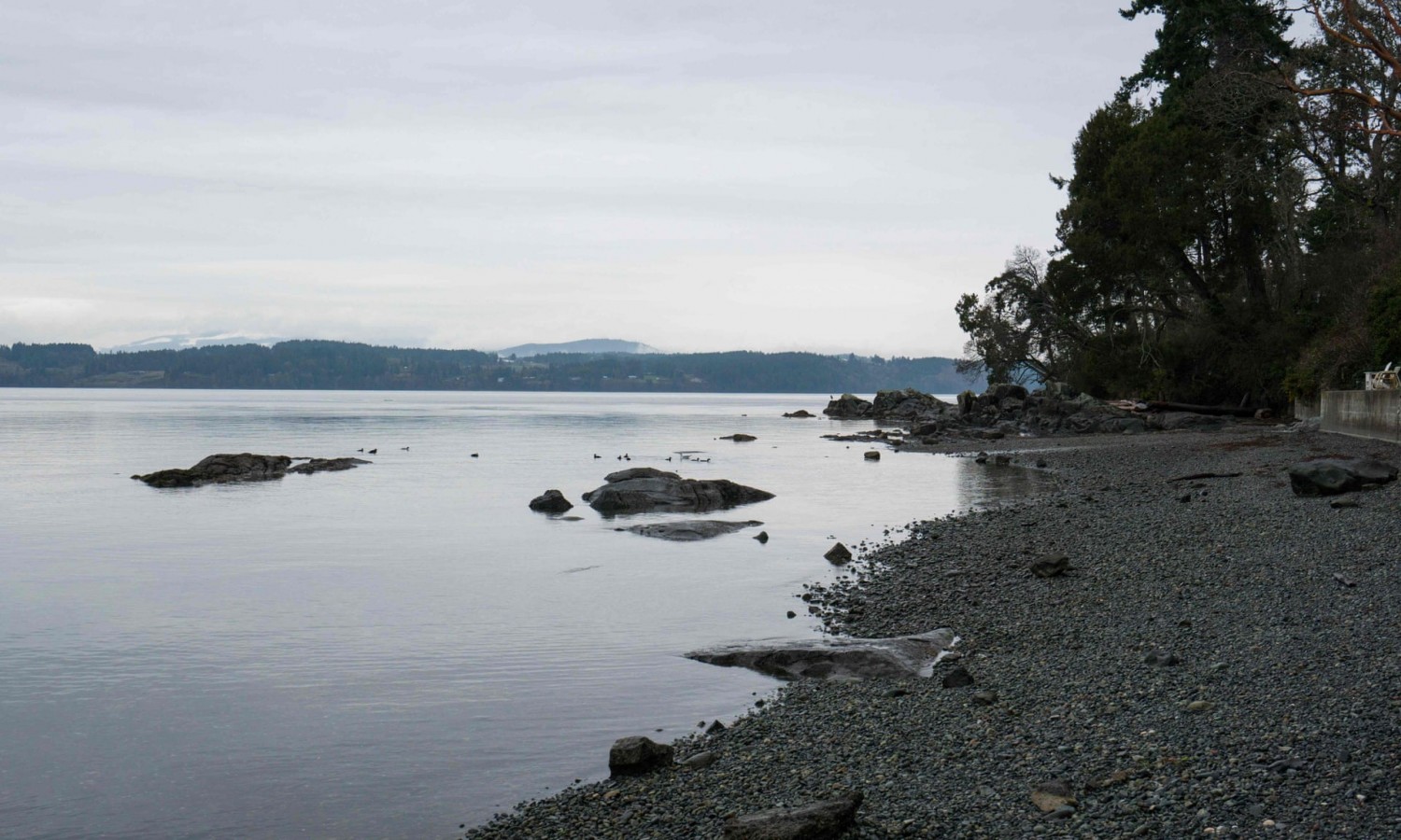  A view of Vancouver Island, British Columbia, Canada, this week. Photograph: Mark Goodnow/AFP via Getty Images