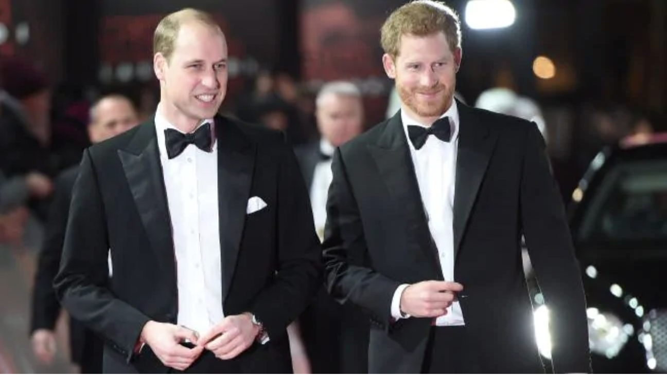 Prince William and Prince Harry in 2017. Picture: Eddie Mulholland / AFPSource:AFP