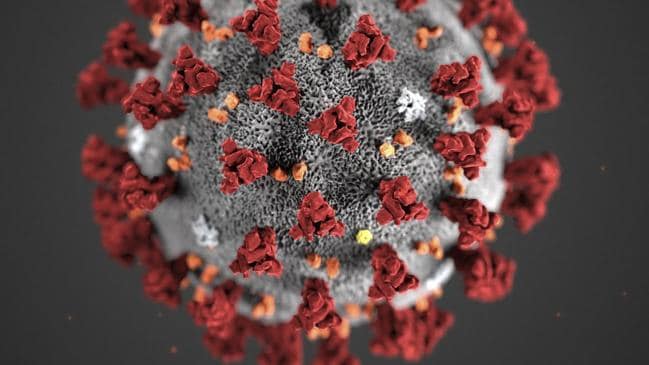 A new medical study on the coronavirus warns it could be ‘impossible to contain’. Picture: Lizabeth Menzies/Centres for Disease Control and Prevention/AFPSource:AFP