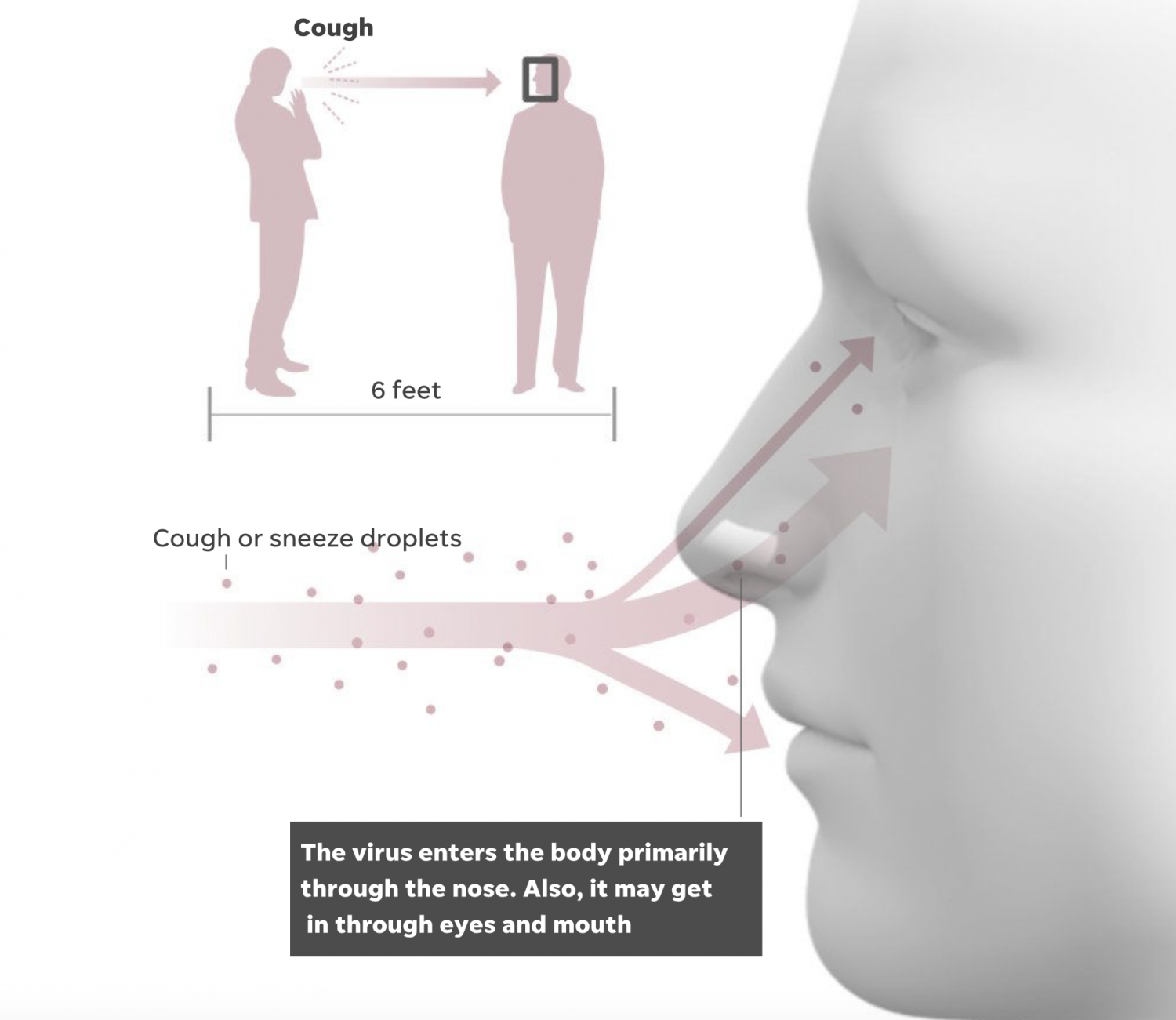 The virus enters the body primarily through the nose. Also, it may get in through eyes and mouth