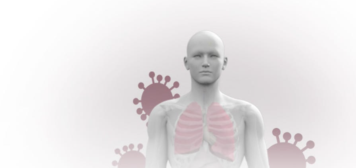 What does the coronavirus do to your body? Everything to know about the infection process
