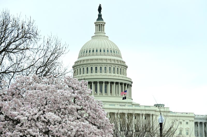 The Senate fell far short of the 60 votes needed to pass the bill Sunday evening.(Shannon Finney/Getty Images)