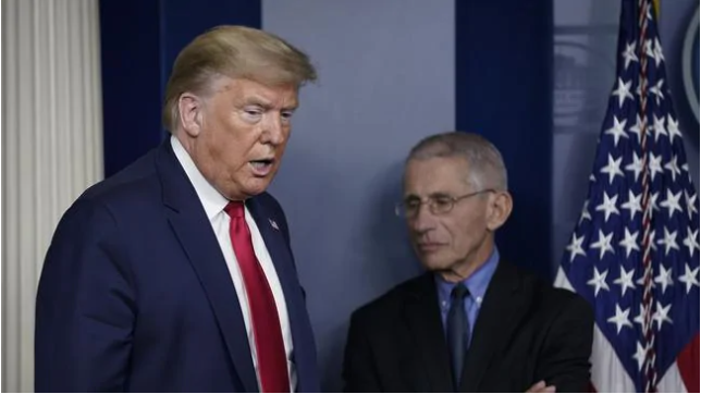 Donald Trump and Anthony Fauci during a press conference in March about the pandemic.Source:Getty Images