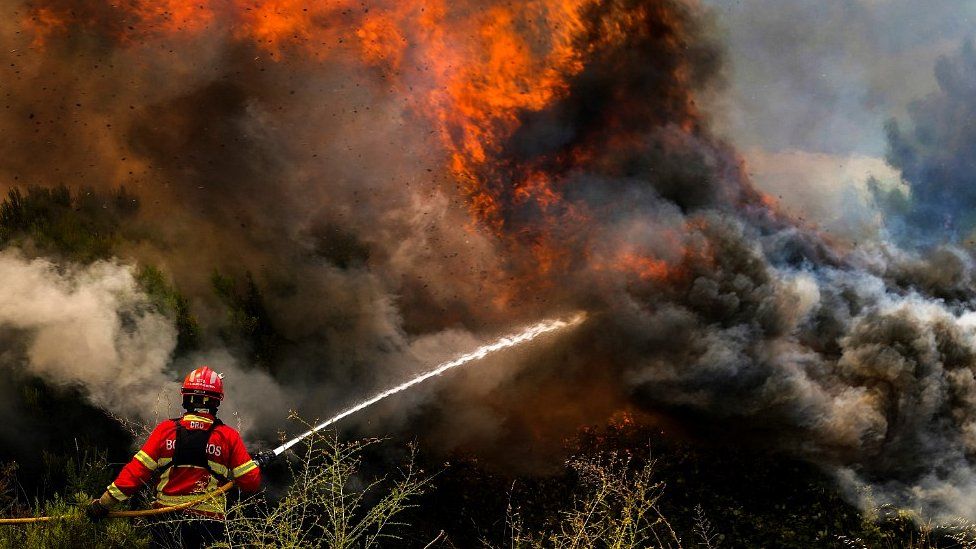EPA / Baiao, Portugal: The fires in the north are Portugal's worst since 2017