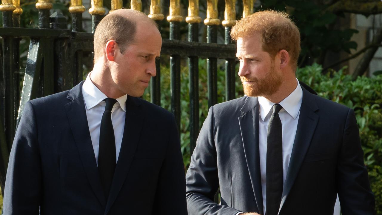 Prince William is said to have been left “devastated” by Prince Harry (photo by Mark Kerrison/In Pictures via Getty Images)