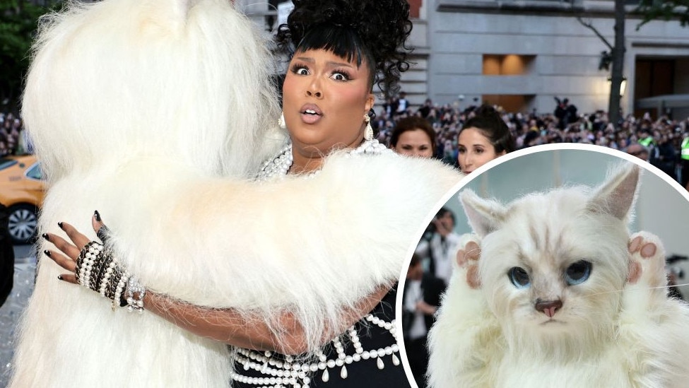 Lizzo caught in weird Met Gala moment.