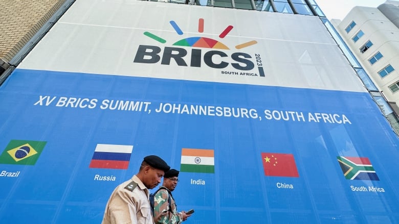 BRICS bloc includes 2 of world's biggest economies and 40% of its population but struggles to wield influence