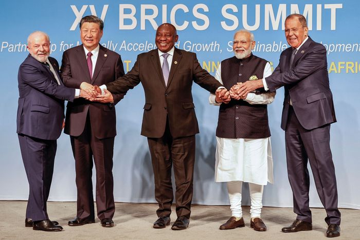 Leaders of Brazil, China, South Africa and India, along with Russia’s foreign minister, attending a Brics summit in Johannesburg last month. PHOTO: GIANLUIGI GUERCIA/AGENCE FRANCE-PRESSE/GETTY IMAGES