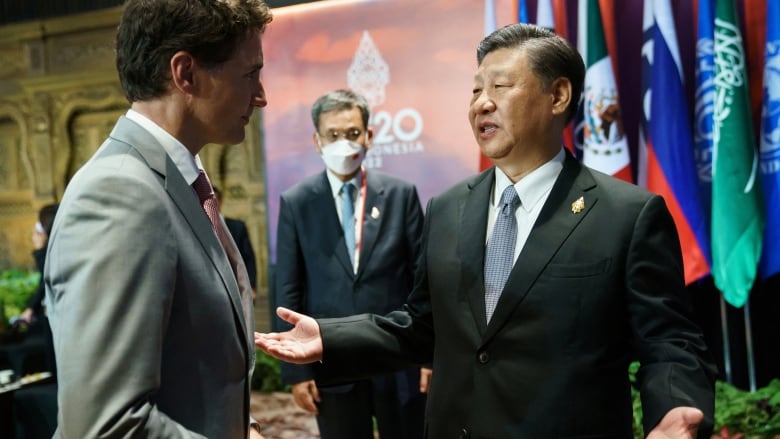 War in Ukraine expected to block consensus at G20 as Trudeau visits Asia