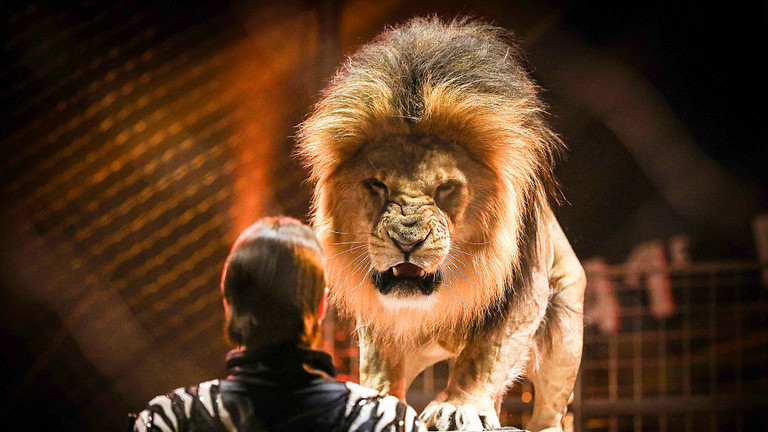 FILE PHOTO: A performer with a lion during the 41st Monte-Carlo International Circus Festival on January 19, 2017 © Getty Images / Getty Images / SC Pool - Corbis / Contributor