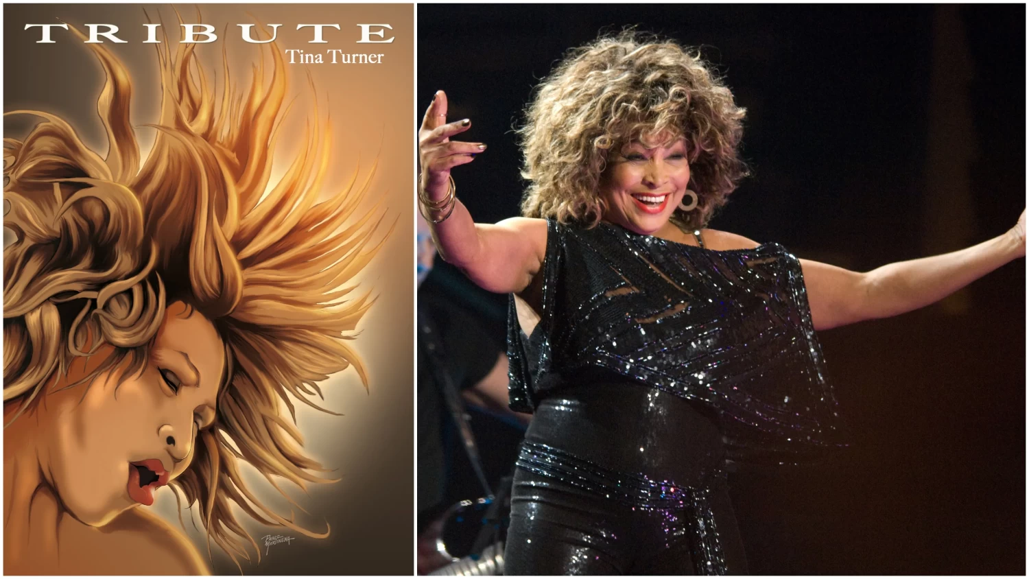 Images (left to right): TidalWave Comics; Tina Turner performs on stage at the Gelredome on March 21st, 2009 in Arnhem, Netherlands. (Photo by Rob Verhorst/Redferns)