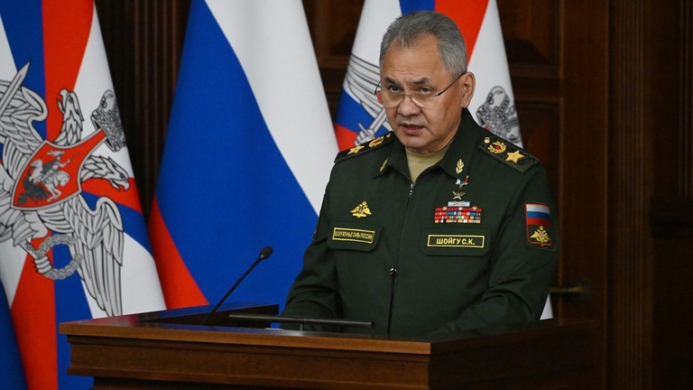 Russian Defense Minister Sergei Shoigu. ©  Sputnik/Sergey Guneev