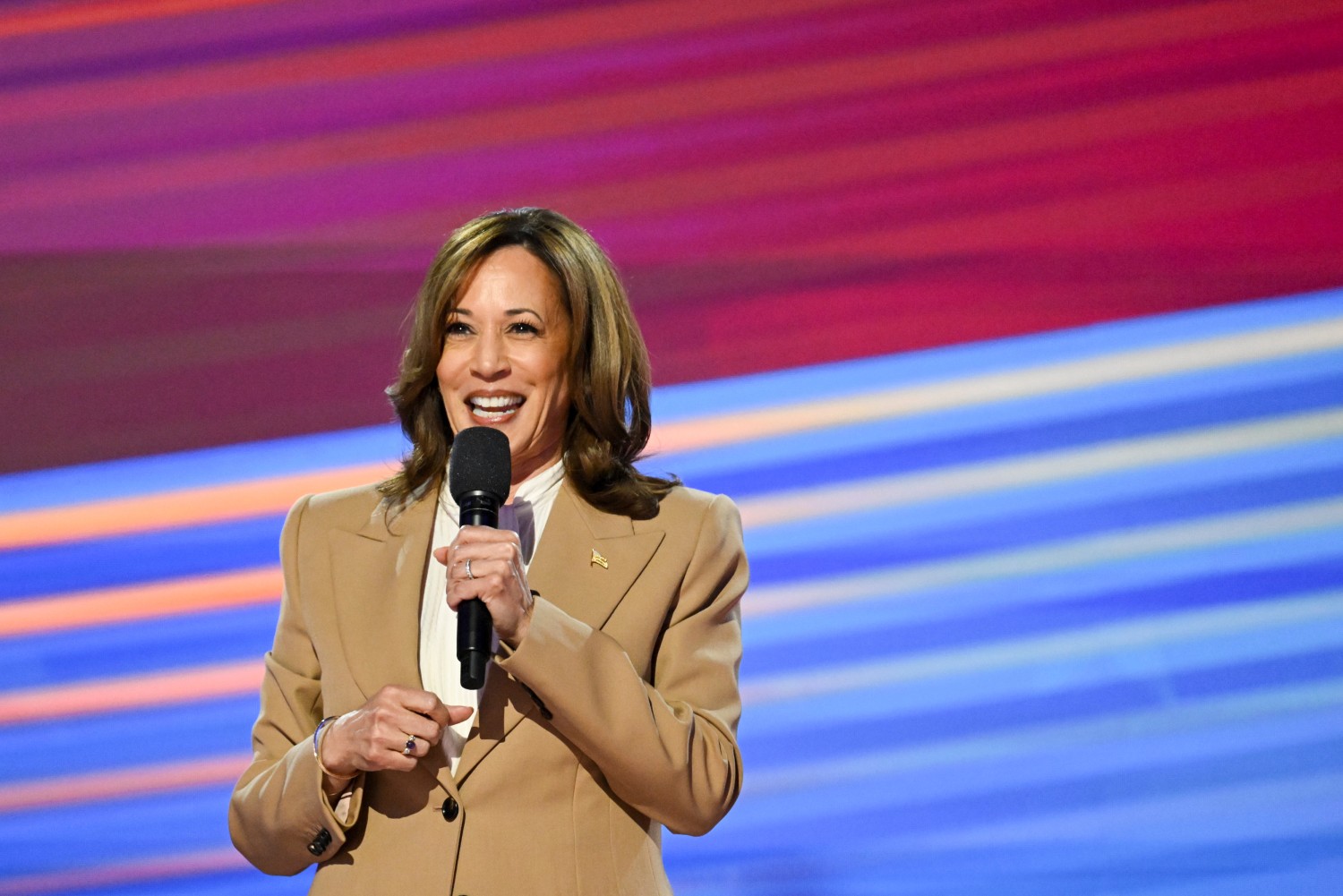 Vice President Kamala Harris addresses the Democratic National Convention at the United Center in Chicago, on August 19. Tom Williams/CQ-Roll Call, Inc via Getty Images