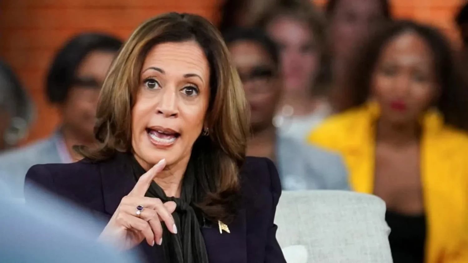 Kamala Harris "in favour of Second Amendment and assault weapon ban"