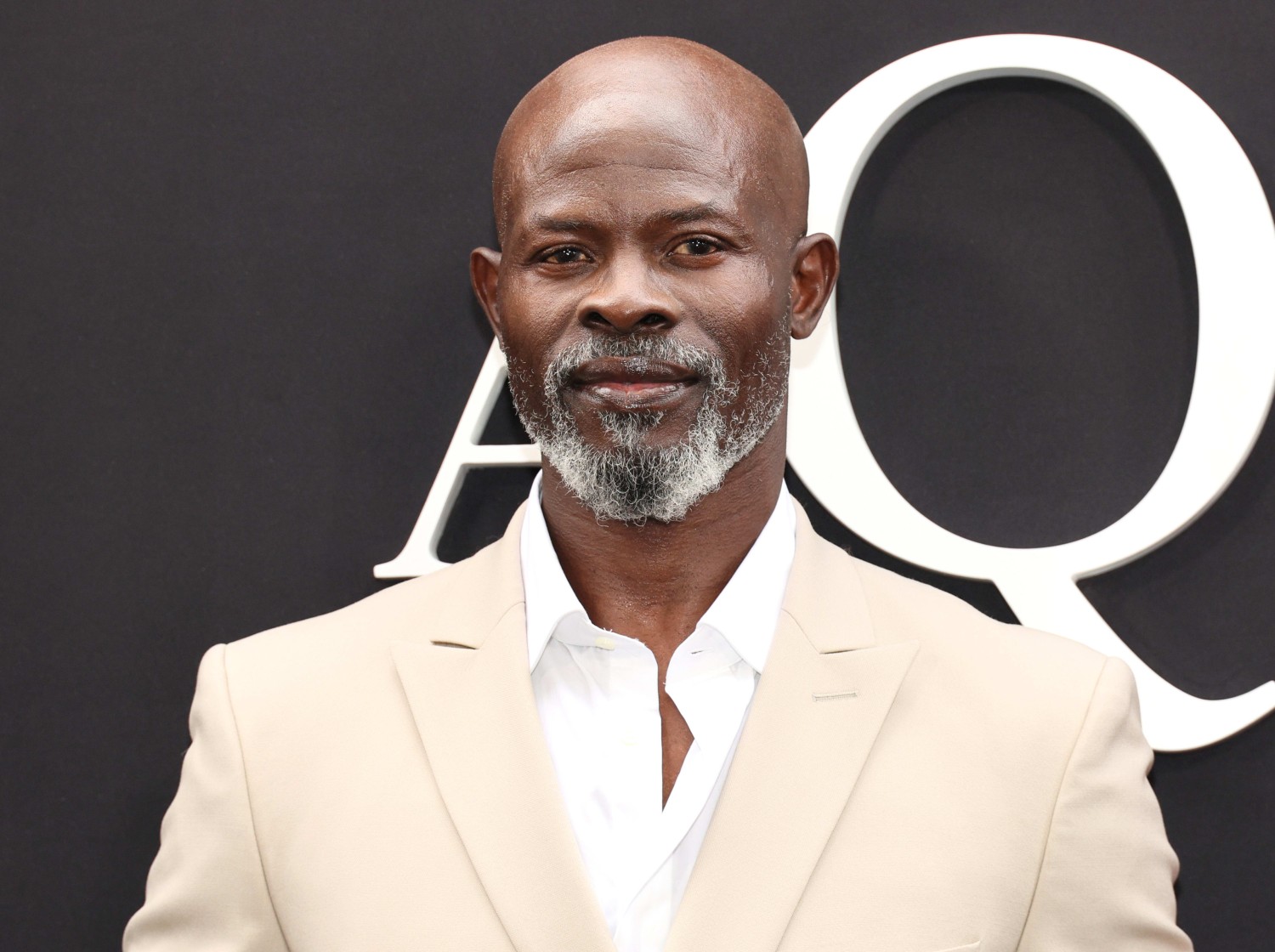 Djimon Hounsou Says 'Not Much Has Changed' Since His Complaints Abou