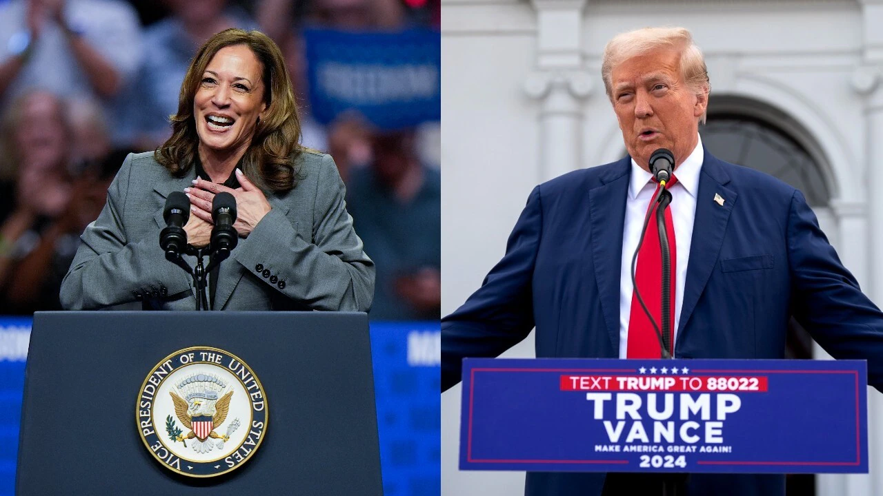 With two weeks until the US presidential election, Donald Trump and Kamala Harris are continuing to try and win over undecided voters in battleground states.