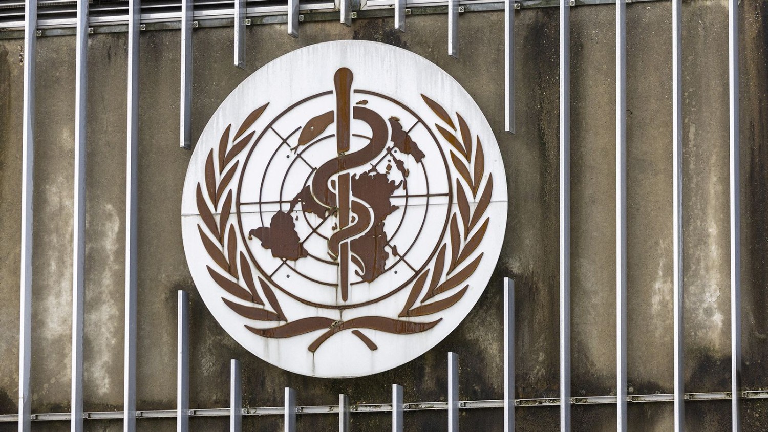 A logo is pictured at the World Health Organisation (WHO) in Geneva, Switzerland, December 14, 2022. Denis Balibouse/Reuters