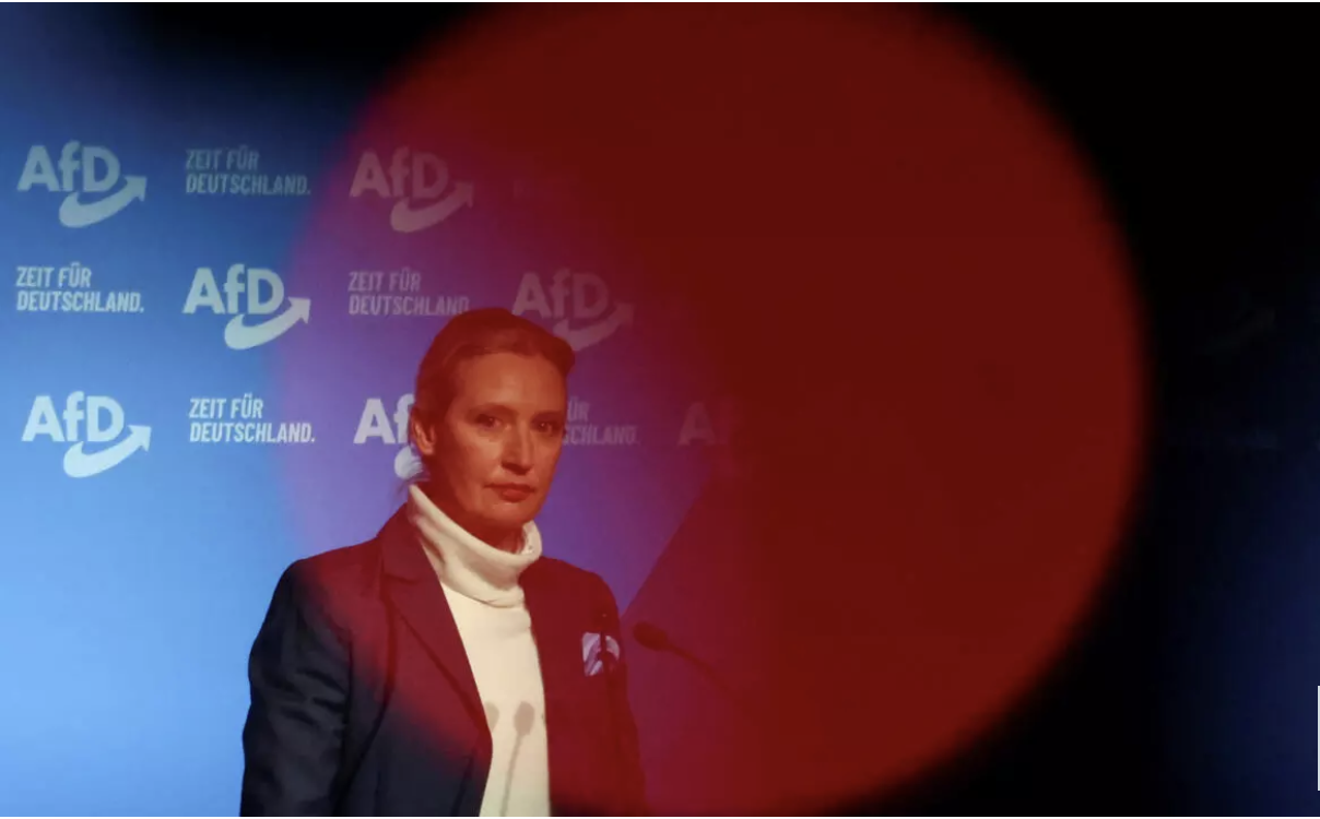 Élections en Allemagne : le vote pour le parti d'extrême droite AfD à la loupe