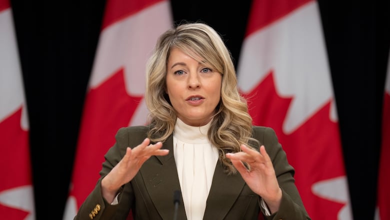 Foreign Affairs Minister Mélanie Joly, shown in Ottawa on Wednesday, says G7 leaders support the U.S.-backed ceasefire proposal for Russia and Ukraine. (Adrian Wyld/The Canadian Press)