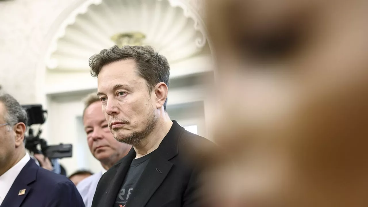 Elon Musk a été nommé à la tête du Doge par Donald Trump en janvier dernier. (Jim Lo Scalzo/UPI/Newscom/SIPA)