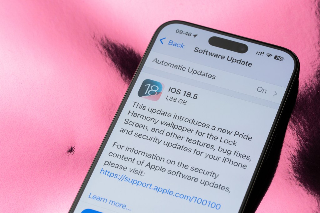 Data experts are urging iPhone users to install the new iOS 18.5 update. PixieMe – stock.adobe.com
