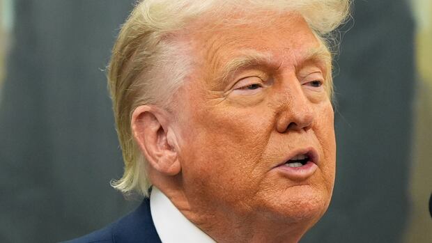 After Trump vows tariffs on foreign movies, the Canadian film industry says he's lost the plot