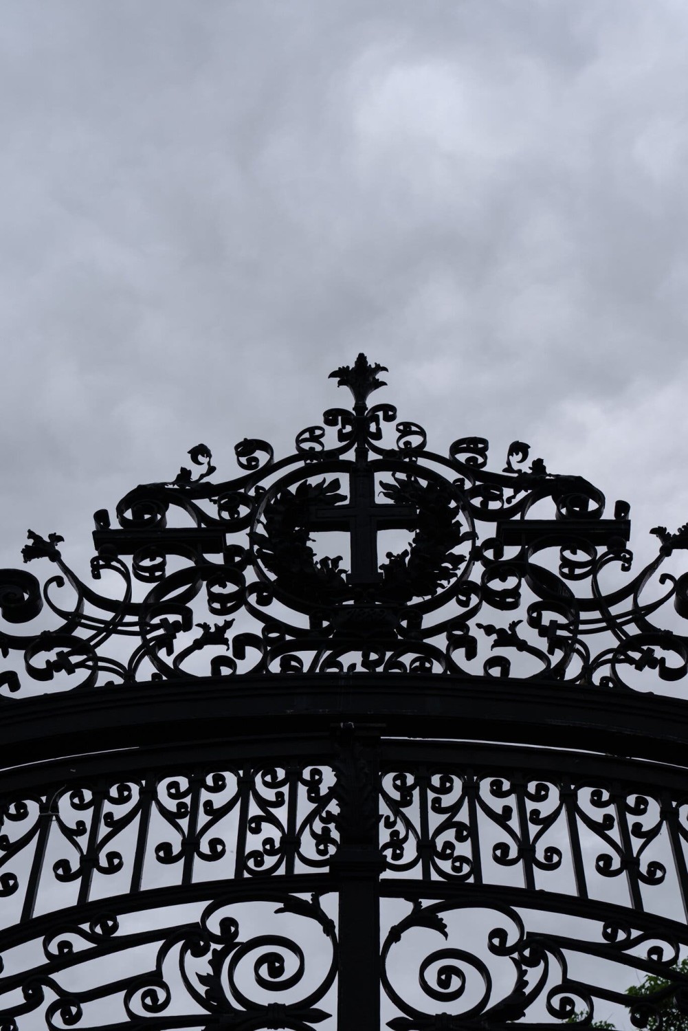 Behind Closed Doors, Harvard Officials Debate a Risky Truce With Trump