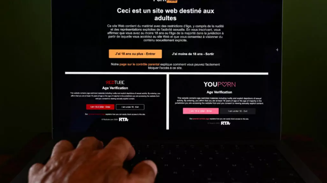 France's top porn sites protest new age verification rules by blacking out