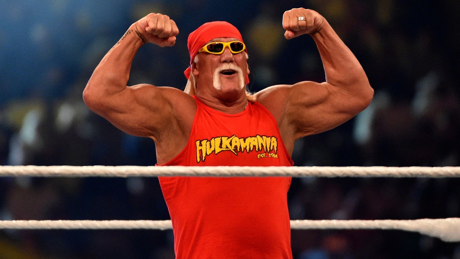 Hulk Hogan  Photo : Getty Images / AFP/FAYEZ NURELDINE