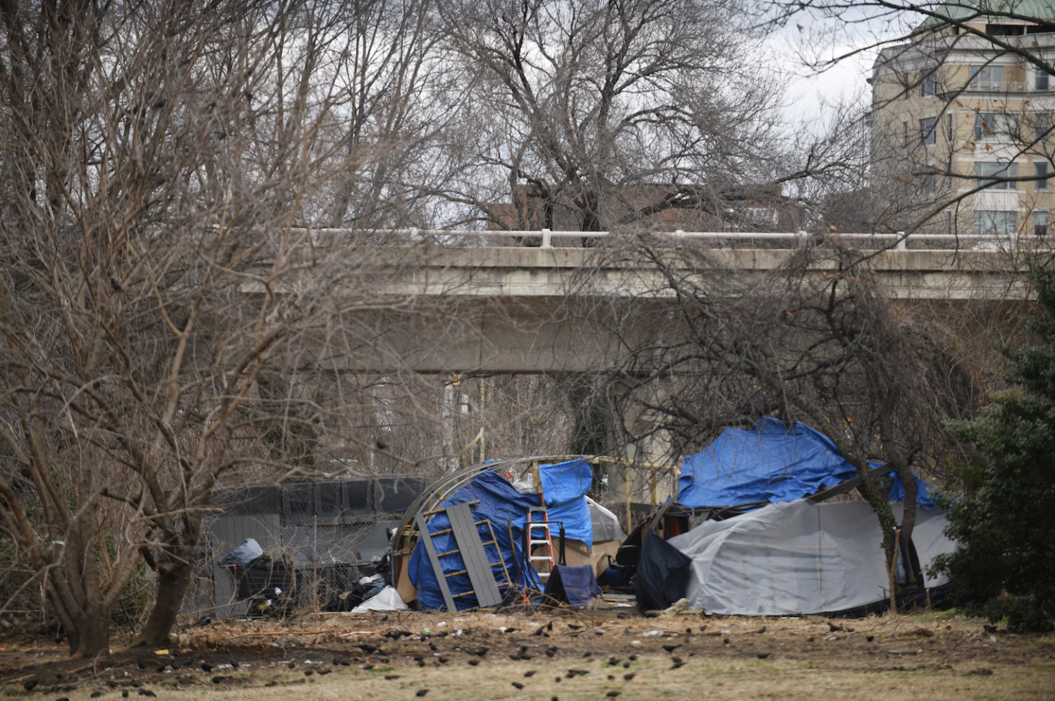 Trump order pushes forcible hospitalization of homeless people