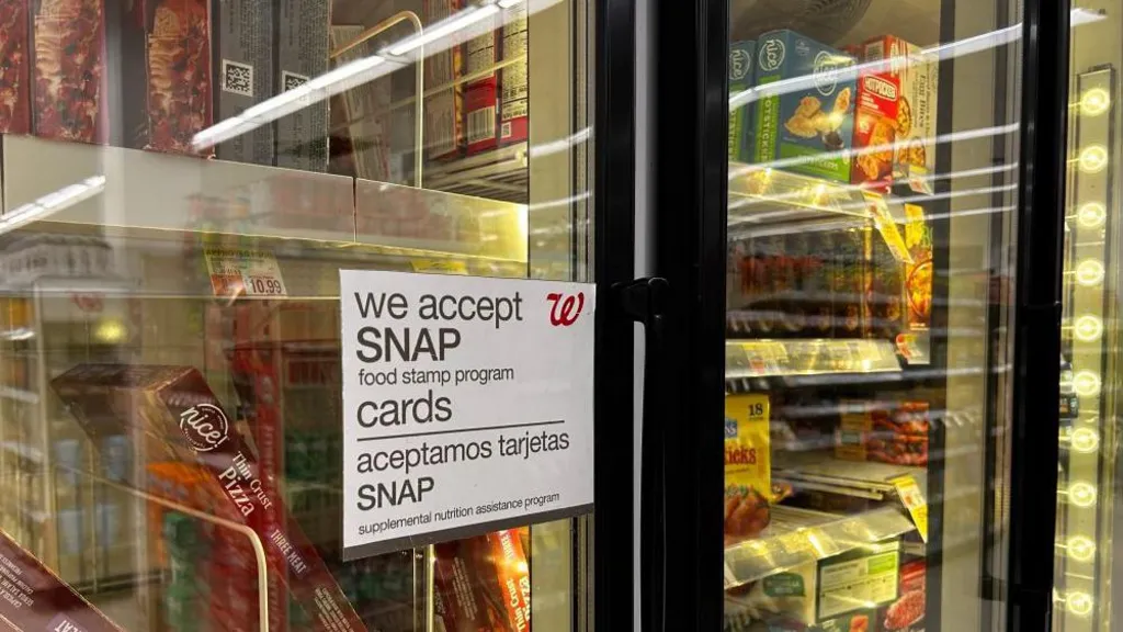 Half of US states sue Trump administration over halting food stamps