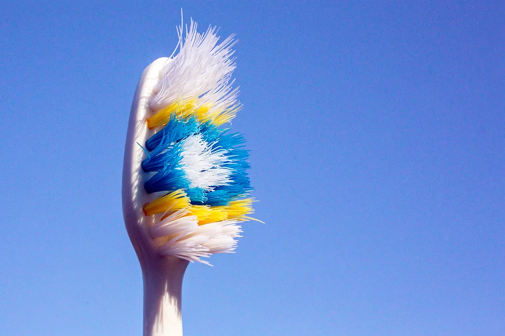Your toothbrush is bristling with bacteria